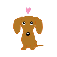 Dachshund Animals Dachshund Animals