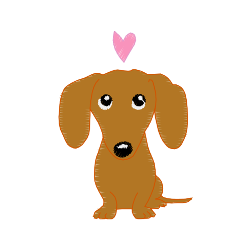 Dachshund Animals Dachshund Animals