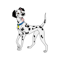 Dalmatian Dog Animals Dalmatian Dog Animals
