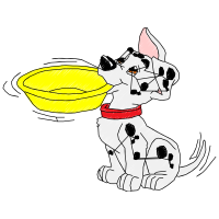 Dalmatian Dog Animals Dalmatian Dog Animals