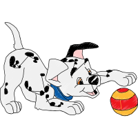 Dalmatian Dog Animals