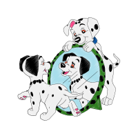Dalmatian Dog Animals Dalmatian Dog Animals