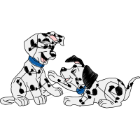 Dalmatian Dog Animals
