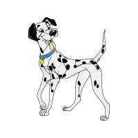 Dalmatian Dog Animals Dalmatian Dog Animals