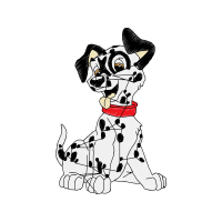 Dalmatian Dog Animals Dalmatian Dog Animals