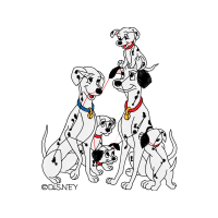 Dalmatian Dog Animals