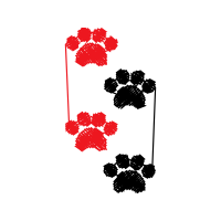 Dalmatian Dog Animals