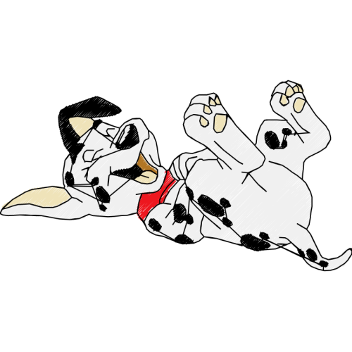 Dalmatian Dog Animals Dalmatian Dog Animals