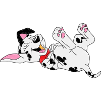 Dalmatian Dog Animals