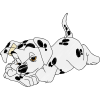 Dalmatian Dog Animals Dalmatian Dog Animals
