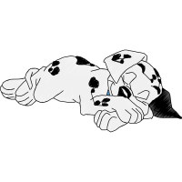 Dalmatian Dog Animals Dalmatian Dog Animals