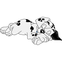 Dalmatian Dog Animals Dalmatian Dog Animals