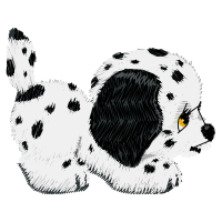 Dalmatian Dog Animals