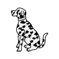 Dalmatian Dog Animals Dalmatian Dog Animals