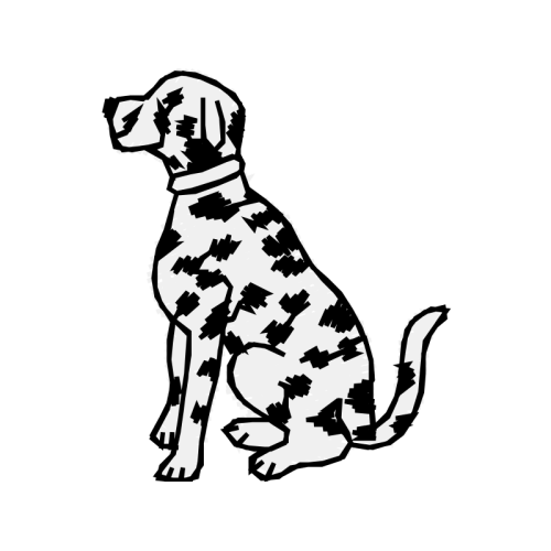 Dalmatian Dog Animals Dalmatian Dog Animals
