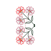 Deciduous Teeth Animals