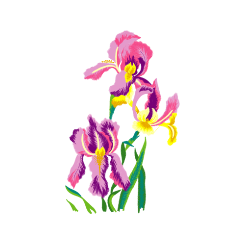 Dendrobium Animals Dendrobium Animals