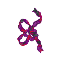 Dendrobium Animals Dendrobium Animals