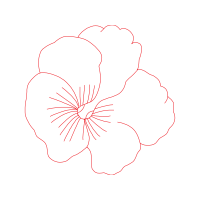 Diagram Animals Diagram Animals