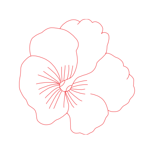 Diagram Animals Diagram Animals