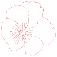 Diagram Animals Diagram Animals