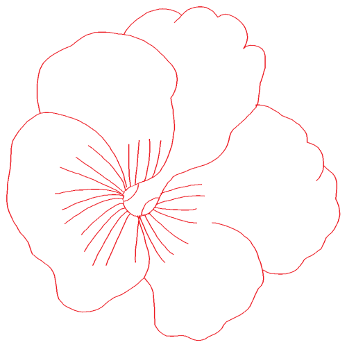 Diagram Animals Diagram Animals