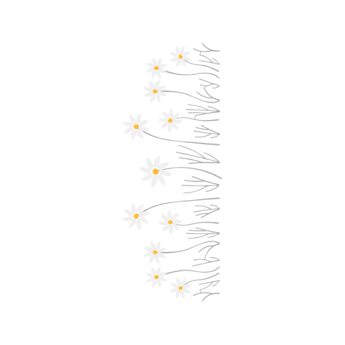 Digital Product Animals Digital Product Animals