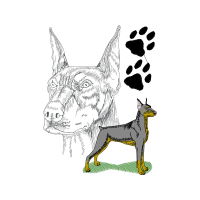 Dobermann Animals
