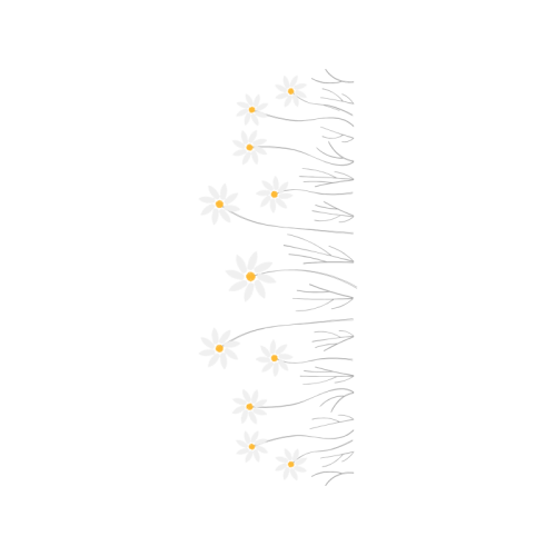 Document Animals Document Animals