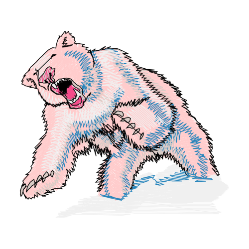 Dog Animals Dog Animals