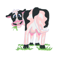 Dog Animals Dog Animals