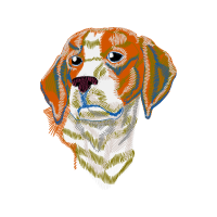 Dog Animals Dog Animals