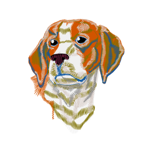 Dog Animals Dog Animals