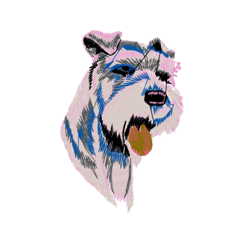 Dog Animals Dog Animals