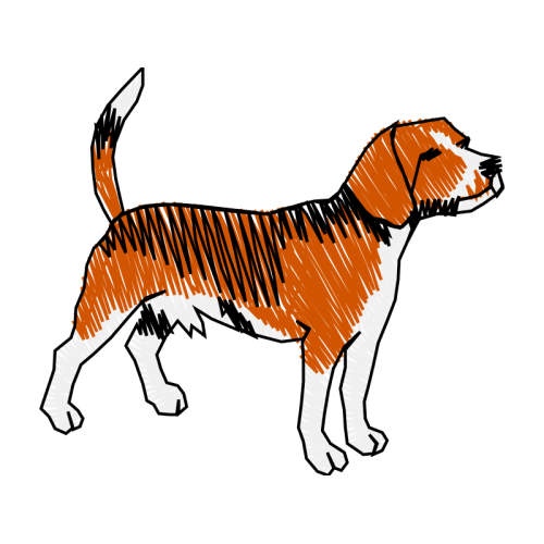 Dog Animals Dog Animals