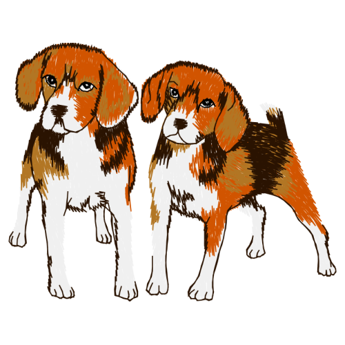 Dog Animals Dog Animals