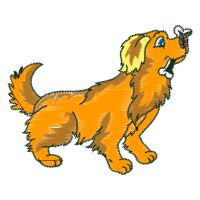 Dog Animals Dog Animals