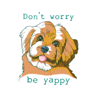 Dog Animals Dog Animals