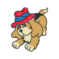 Dog Animals Dog Animals