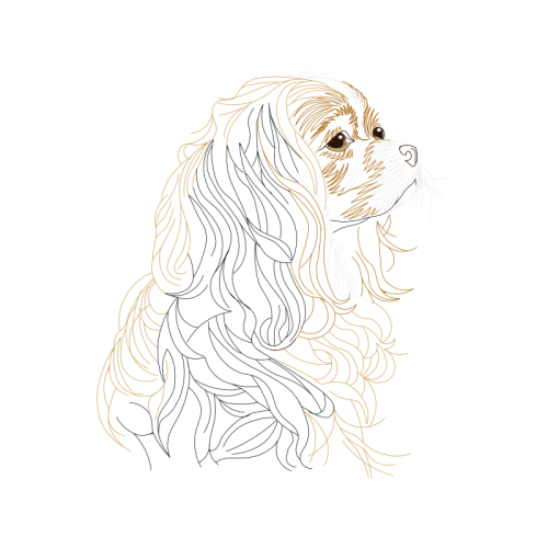 Dog Animals Dog Animals