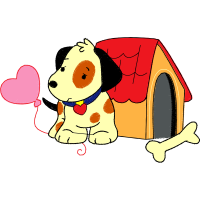 Dog Animals Dog Animals