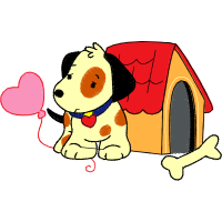 Dog Animals Dog Animals