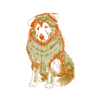 Dog Animals Dog Animals