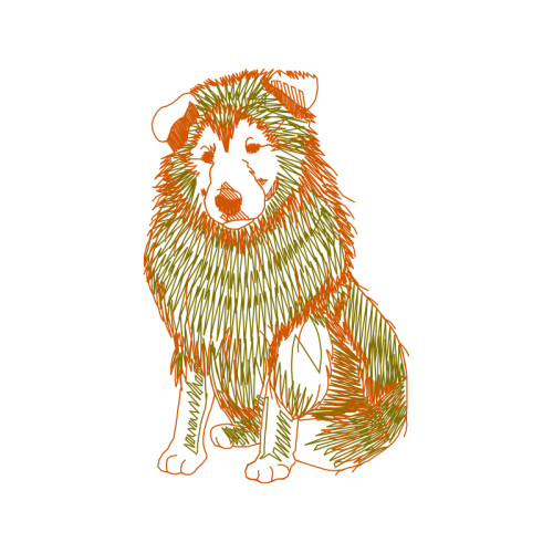 Dog Animals Dog Animals