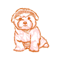 Dog Animals Dog Animals