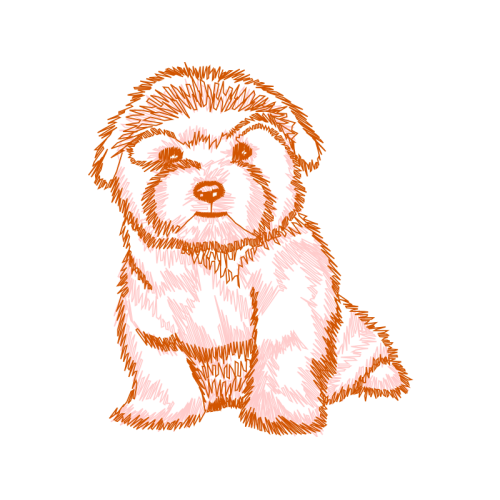 Dog Animals Dog Animals