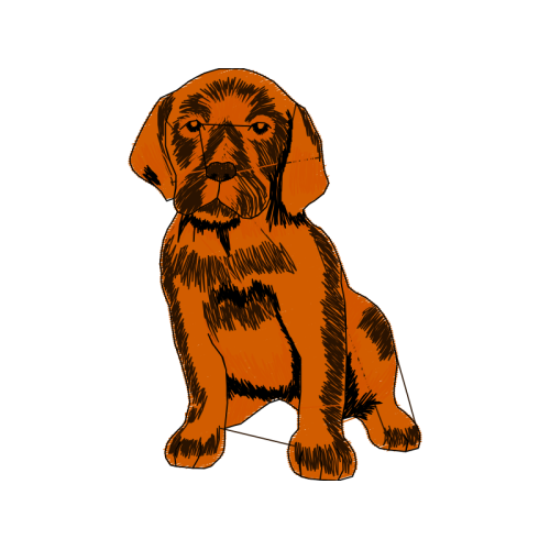 Dog Animals Dog Animals