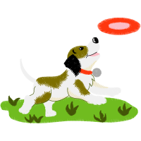 Dog Animals Dog Animals