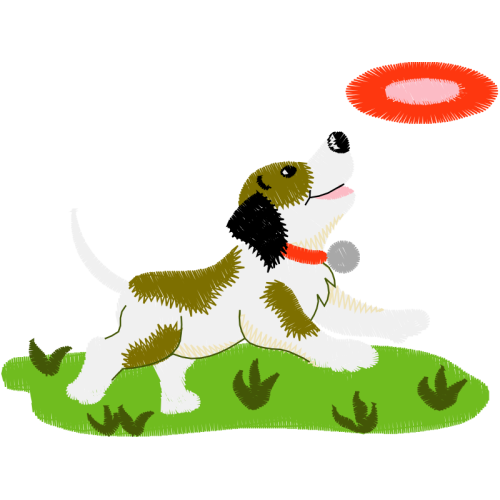 Dog Animals Dog Animals