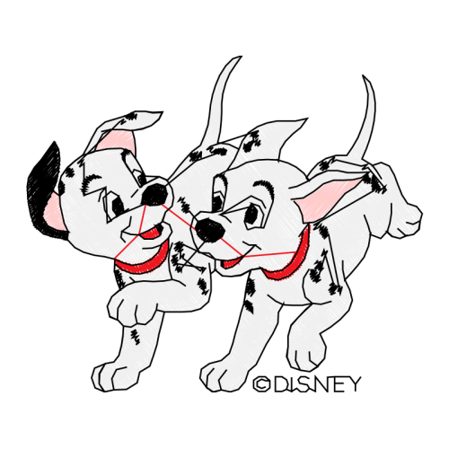 Dog Animals Dog Animals